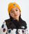 Summit Gold/Nuptse Bear P|Summit Gold/Nuptse Bear P