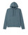 Blue Sea Heather|Bruyère bleue de mer|ALT