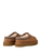 Chestnut|Châtaigne|ALT