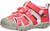 Dubarry/Pink-A-Boo|Dubarry/Pink-A-Boo|PRI