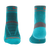 Teal|Sarcelle d’hiver|ALT