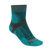 Teal|Sarcelle d’hiver|ALT