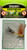 Assorted|Divers|PRI