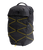 Lead/Pigment Yellow|Jaune plomb/pigment|ALT