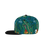 Teal Steal|Vol de sarcelle|ALT