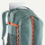 Blue Sage|Sauge bleue|ALT