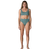 Blue Sage|Sauge bleue|ALT
