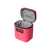 Tropical Pink|Rose tropical|ALT
