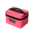 Tropical Pink|Rose tropical|ALT