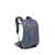 Graphite Purple|Violet graphite|ALT
