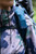 Mountain Teal|Sarcelle des montagnes|ALT