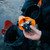 Carbon|Carbone|ALT