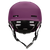 Plum|Prune|ALT