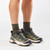 Peat/Olive Night/Endive|Tourbe/olive nuit/endive|ALT