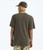 New Taupe Green|Nouveau vert taupe|ALT