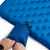 Blue Jay|Geai bleu|ALT
