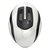 Shiny White|Shiny White|ALT