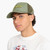 Toad|Crapaud|ALT