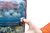 NO_COLOUR|NO_COLOUR|ALT