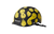 Smiley World Warped World|Monde Souriant : Monde Dé|ALT