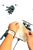 NO_COLOUR|NO_COLOUR|ALT
