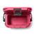 Tropical Pink|Rose tropical|ALT