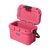 Tropical Pink|Rose tropical|ALT