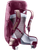 Ashrose/Cassis|Ashrose/Cassis|ALT