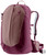Ashrose/Cassis|Ashrose/Cassis|PRI