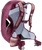 Ashrose/Cassis|Ashrose/Cassis|ALT