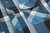 Pacific Plaid|Pacific Plaid|ALT