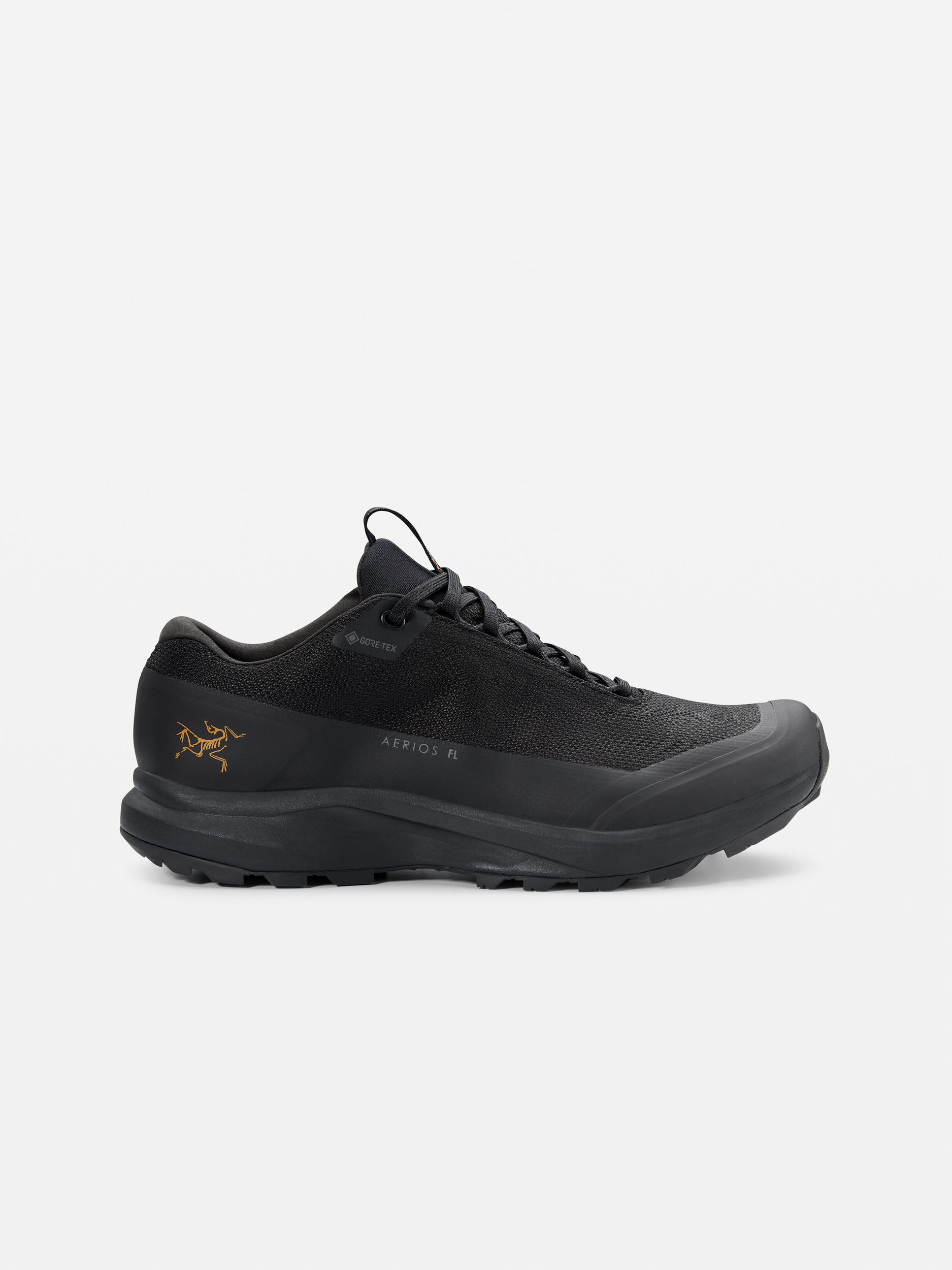 Arc'teryx Aerios GTX Shoe - Women's | MEC