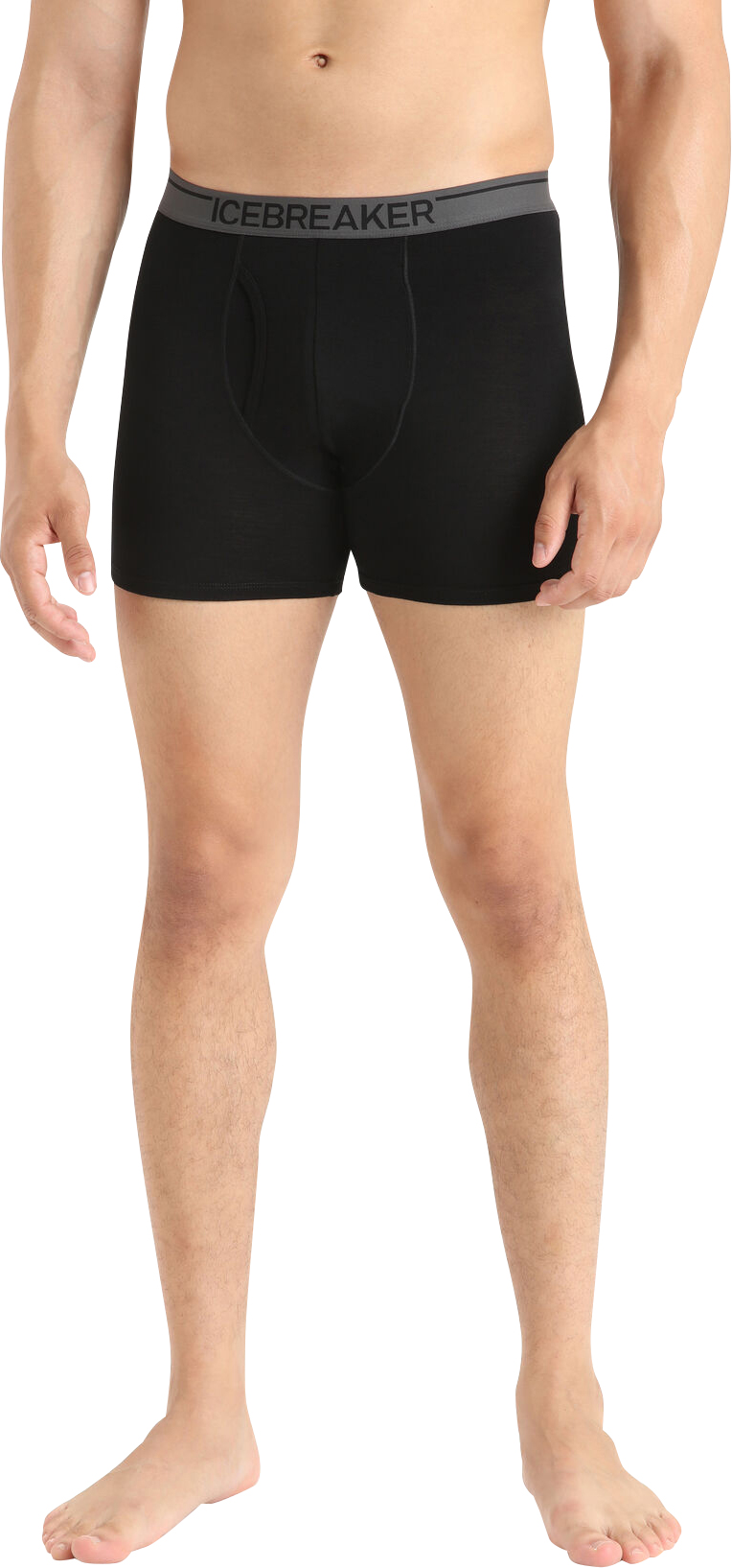 Icebreaker Anatomica Boxers W Fly - Merino Base Layer Men's, Buy online