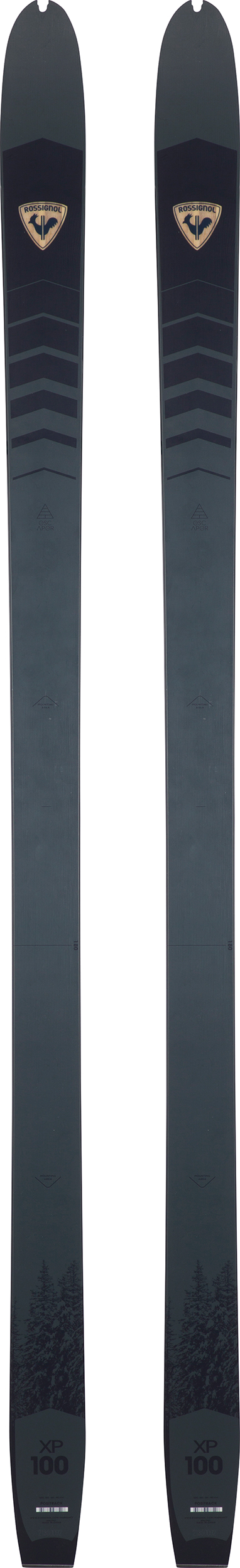Rossignol XP-100 Positrack Skis | MEC