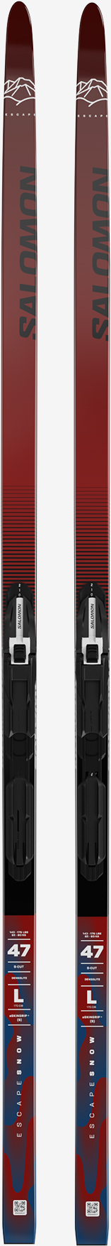 スキー solomon 448125_source_1698829471.jpg