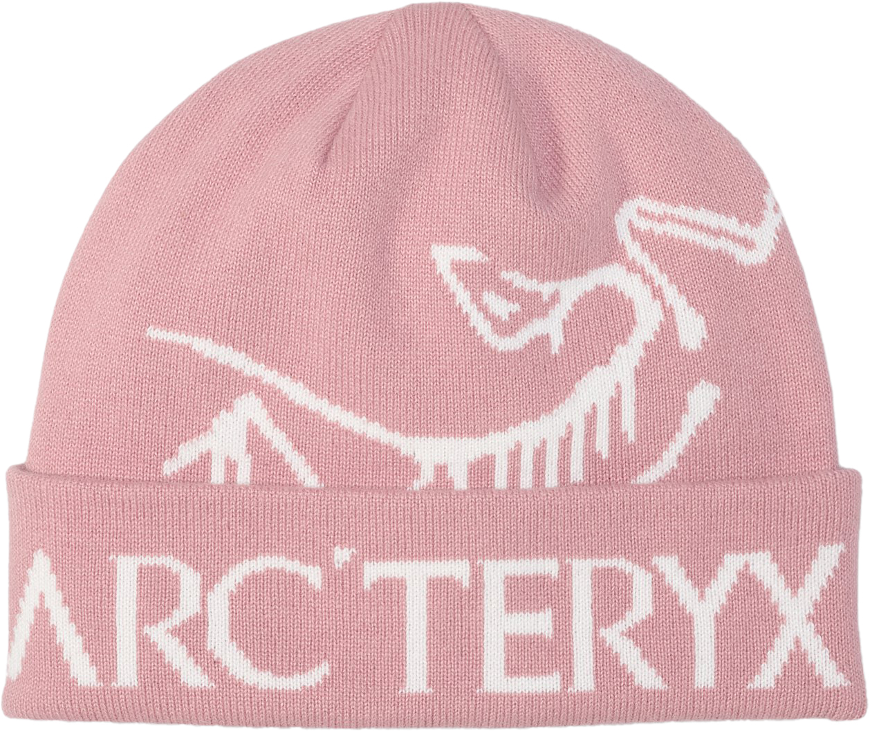 Arc'teryx Bird Word Toque - Unisex | MEC