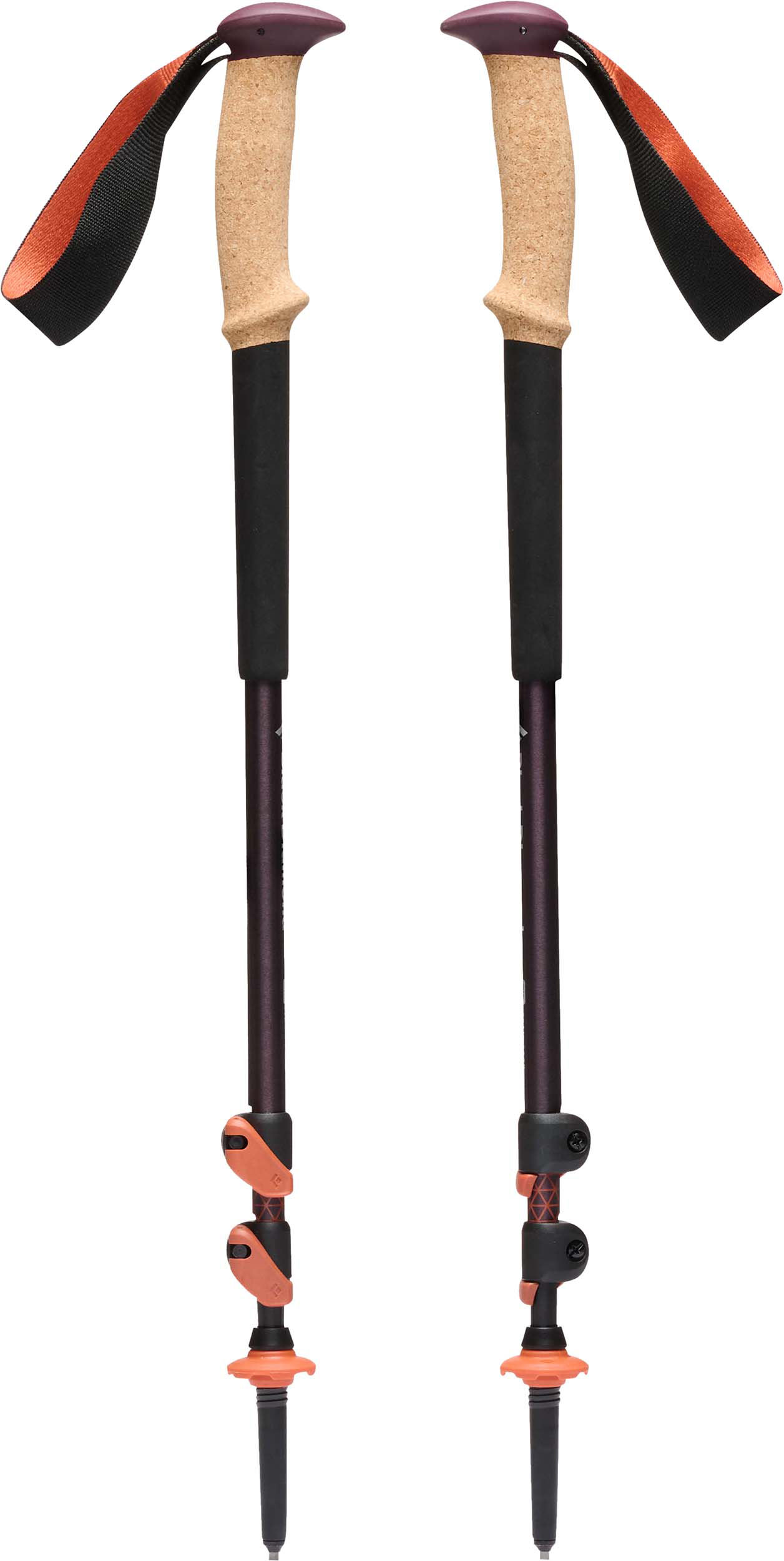 Black Diamond Trail Ergo Cork trekking poles showing the ergonomic cork grip design