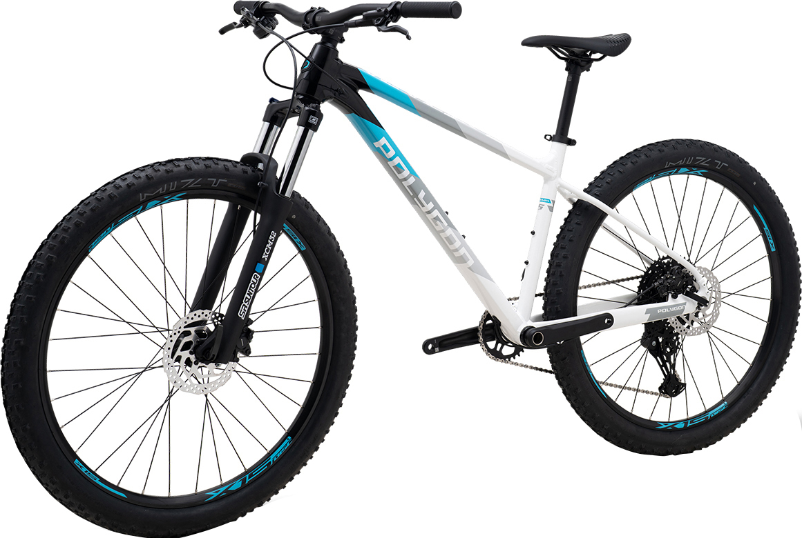 Mountain-Saka★ Polygon Siskiu DSE Mountain Bicycle - Unisex | MEC