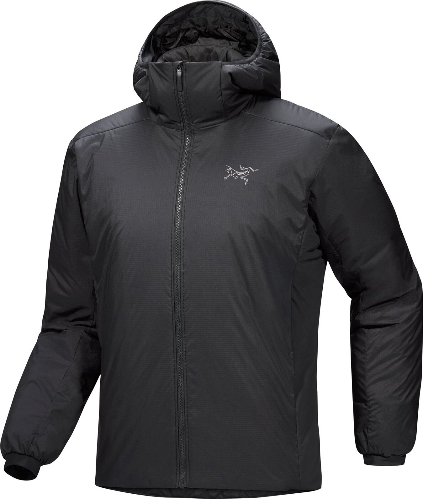 Arc'teryx Atom Hoody - Men's | MEC