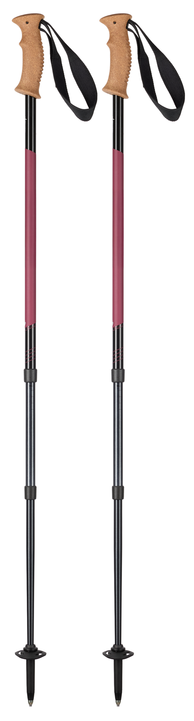 Black Diamond Expedition 3 Poles - Unisex | MEC