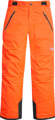 The North Face Boys' Freedom Insulated Pant I Bill and Paul's I