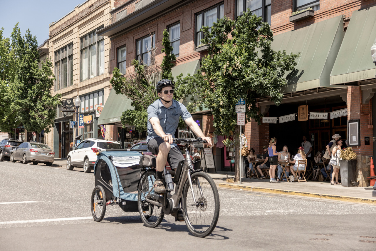 Burley Flatbed Remorque cargo pour vélo ville ou cyclotourisme