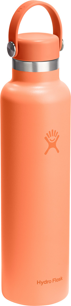 Hydro Flask Standard Mouth Bottle 710ml MEC