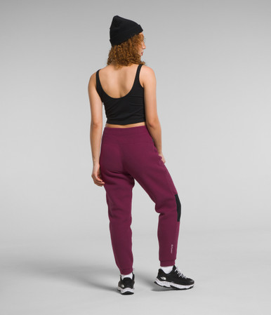 The North Face Women's Alpine Polartec 200 Regular Pants - PRFO Sports