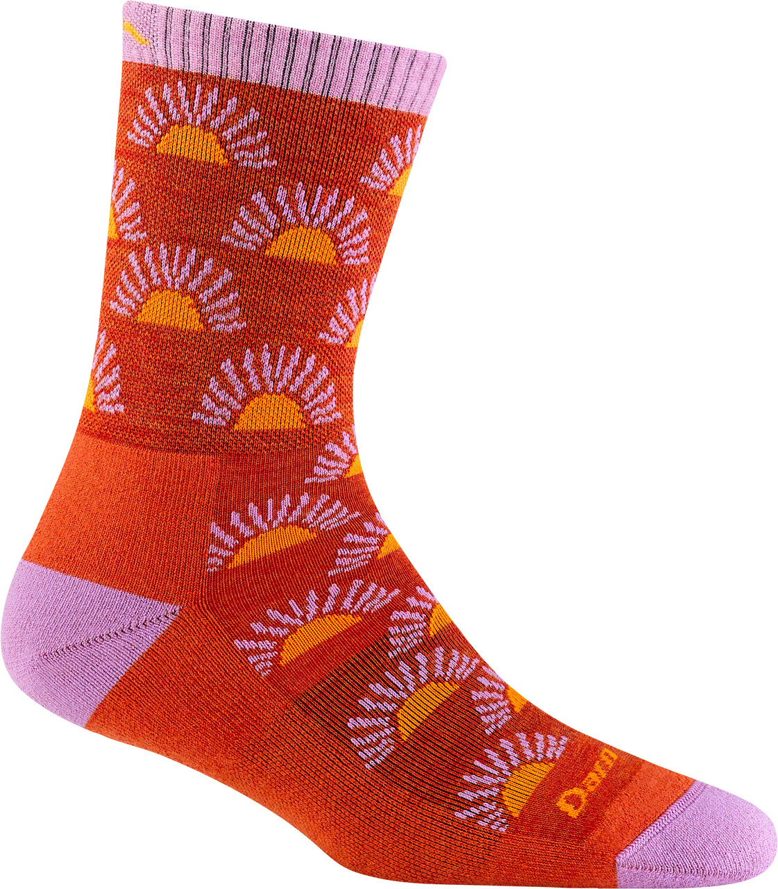 Darn Tough Ray Day Cushion Micro Crew Socks Women's MEC