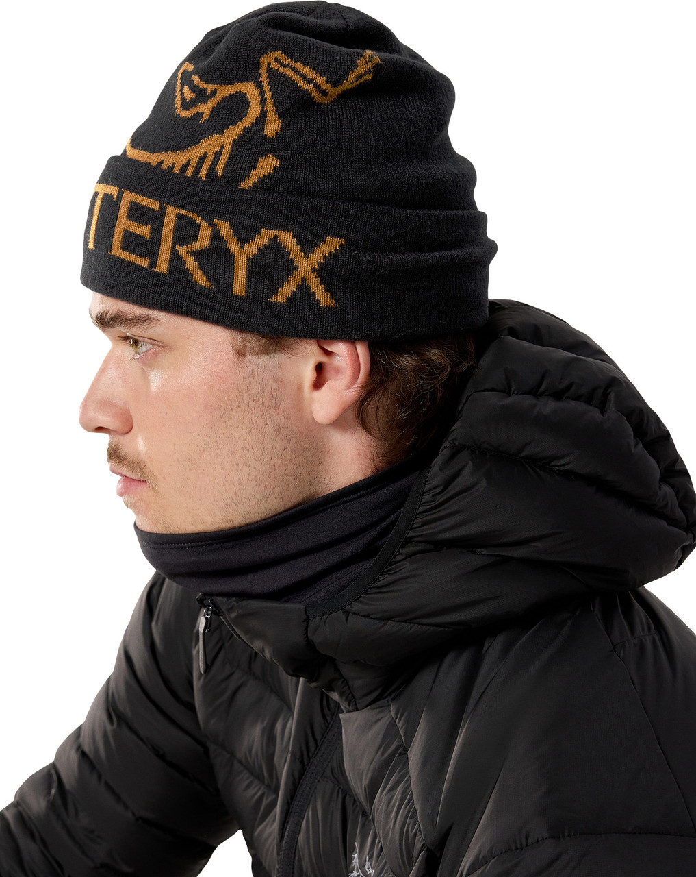 Arc'teryx Bird Word Toque - Unisex | MEC
