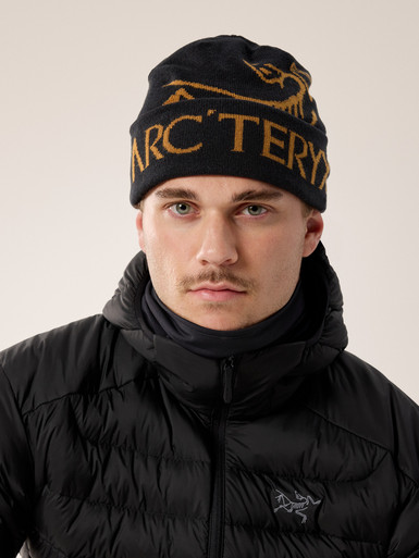 ARC'TERYX Bird Word Toque アークテリクス black Arc'teryx Bird Word Toque Black Void / Arc'teryx beanie | eBay