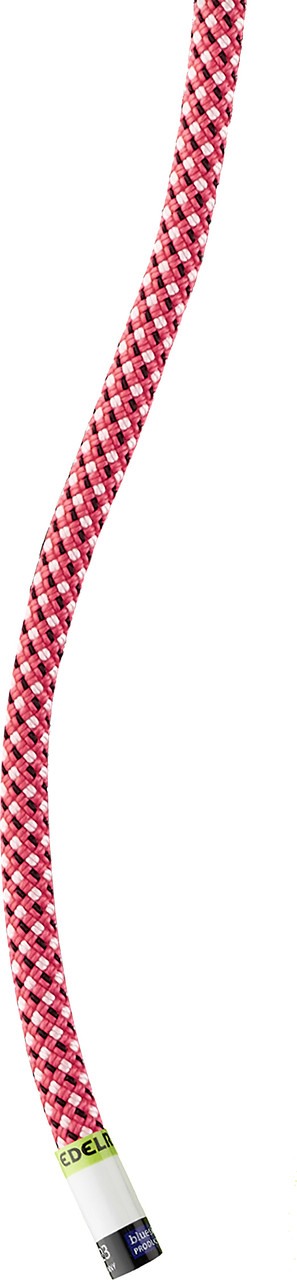 Edelrid Starling Eco Dry 8.2mm Rope | MEC
