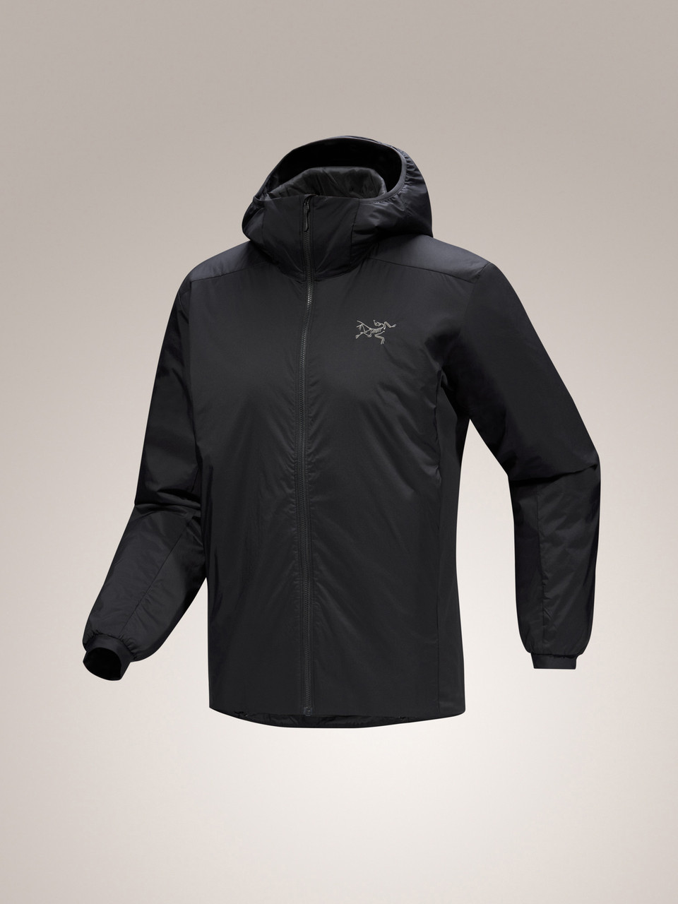 Arc'teryx Atom Hoodie - Men's | MEC