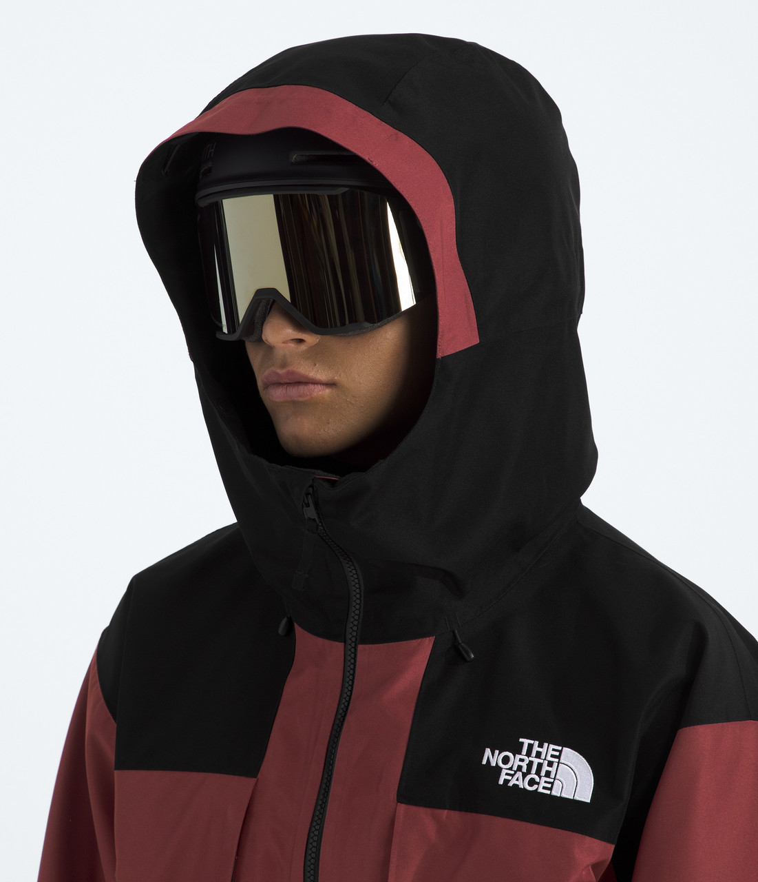 The North Face GTX Hex Jacket - Men's | MEC